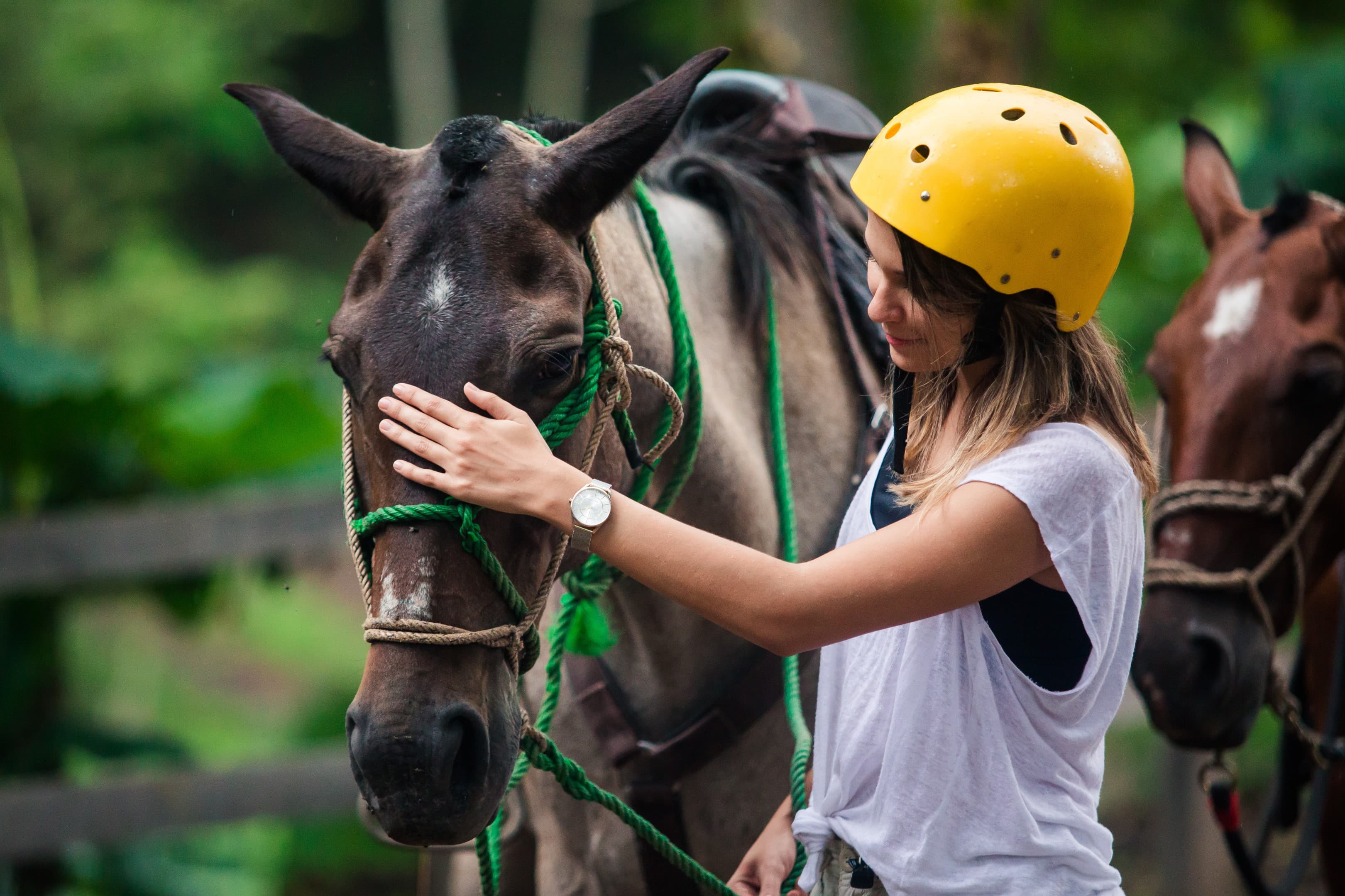 Vandará Explore Costa Rica