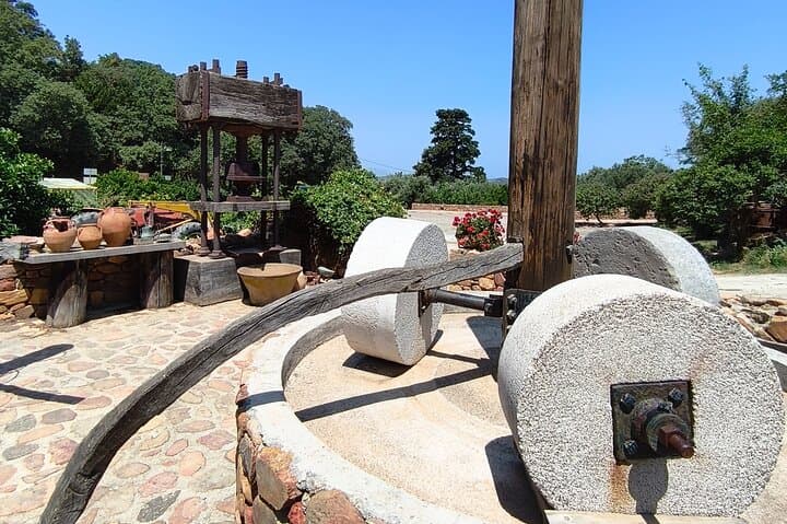 Chania Old Town - Millennial Olive Tree - Olive Oil Mill