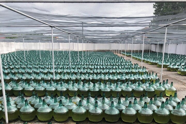 Rueda White Wine Tour with Michelin-Star Lunch from Madrid