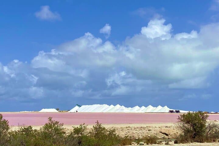 Guided Bonaire South Tour