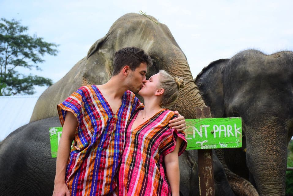 Phuket: Honeymoon Elephant Care Program
