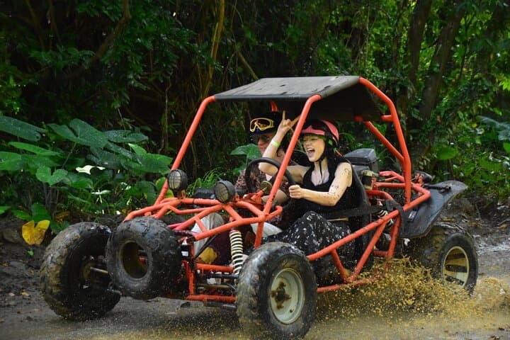 Roatán Shore Excursions: Wildlife + ATV/Buggy & Beach(1Beer/pp)