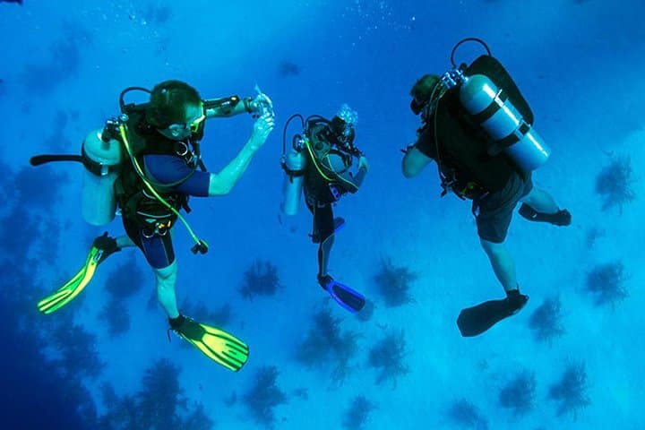 Roatan 1 Tank Shore Dive, Sloth & Monkey Park, City Tour plus Transportation