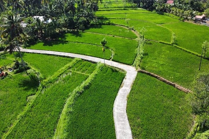 Private Tour in Lombok Local Village