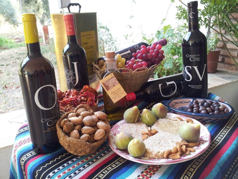 Almería: Wine tour and aperitif from La Alpujarra in Winery