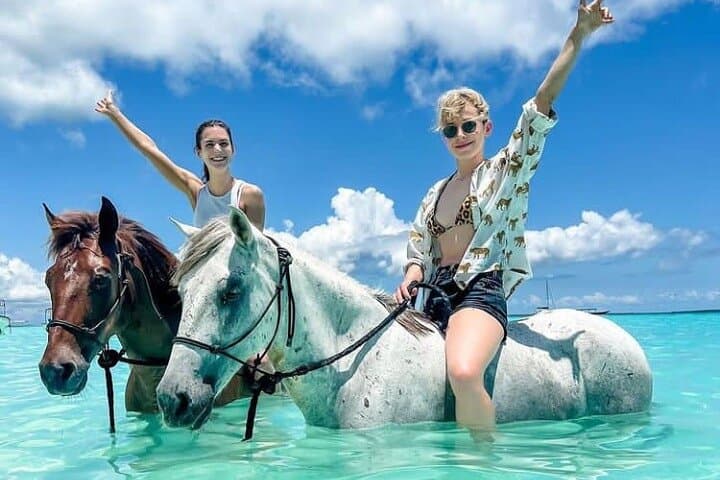 Swimming with Horses Experience on the Beach in Zanzibar