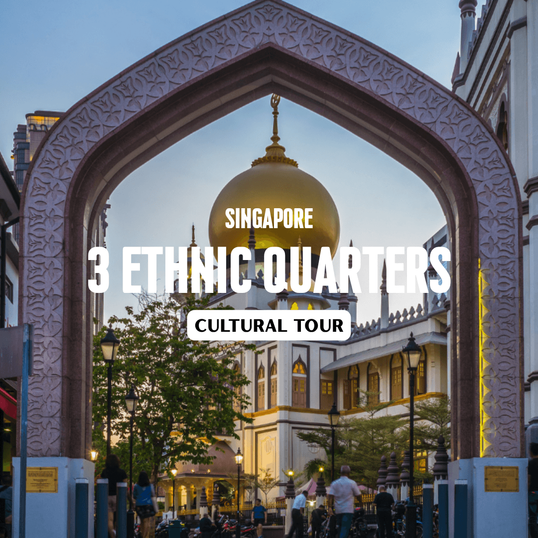 (Free eSIM) Singapore 3 Ethnic Quarters Harmony Discovery Tour - Chinatown, Kampong Glam, Little India