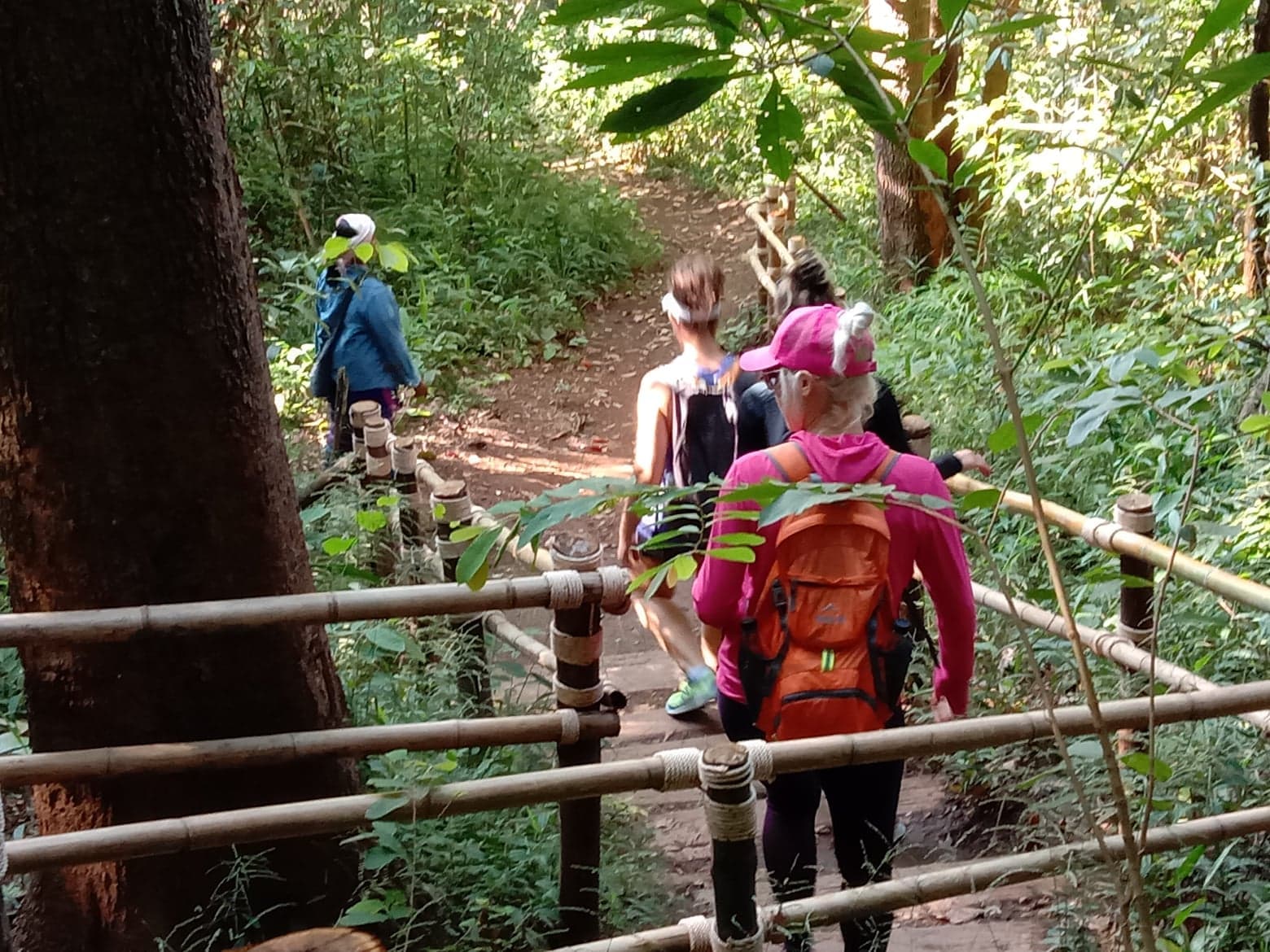 Morning Hiking Doi Inthanon+Pachor The grand canyon