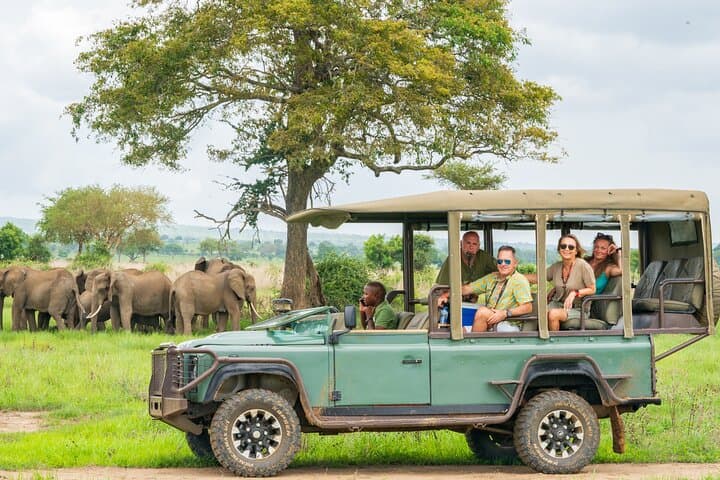 Mikumi Luxury Day Safari with Photographer