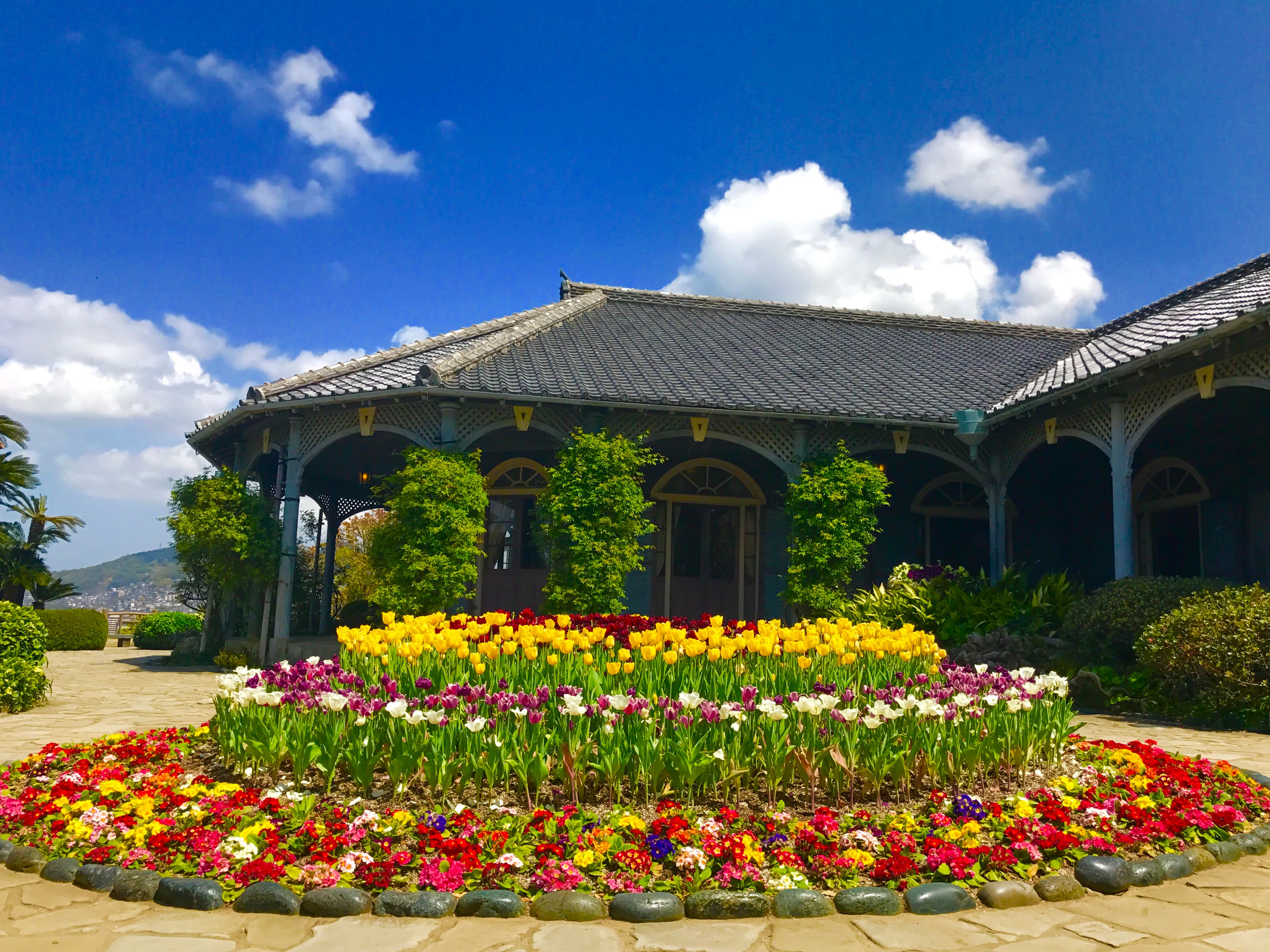 Nagasaki Highlights Private Full Day Tour by Tram