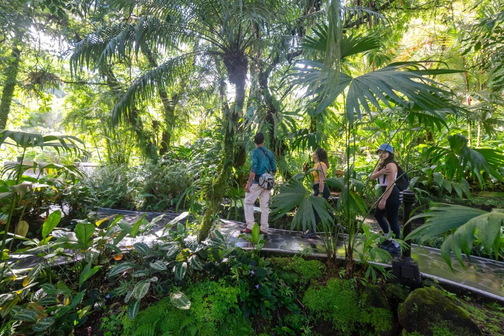 Nature Walk - In house experience 