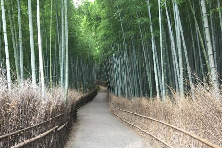 Full-Day Private Guided Tour to Kyoto, Arashiyama