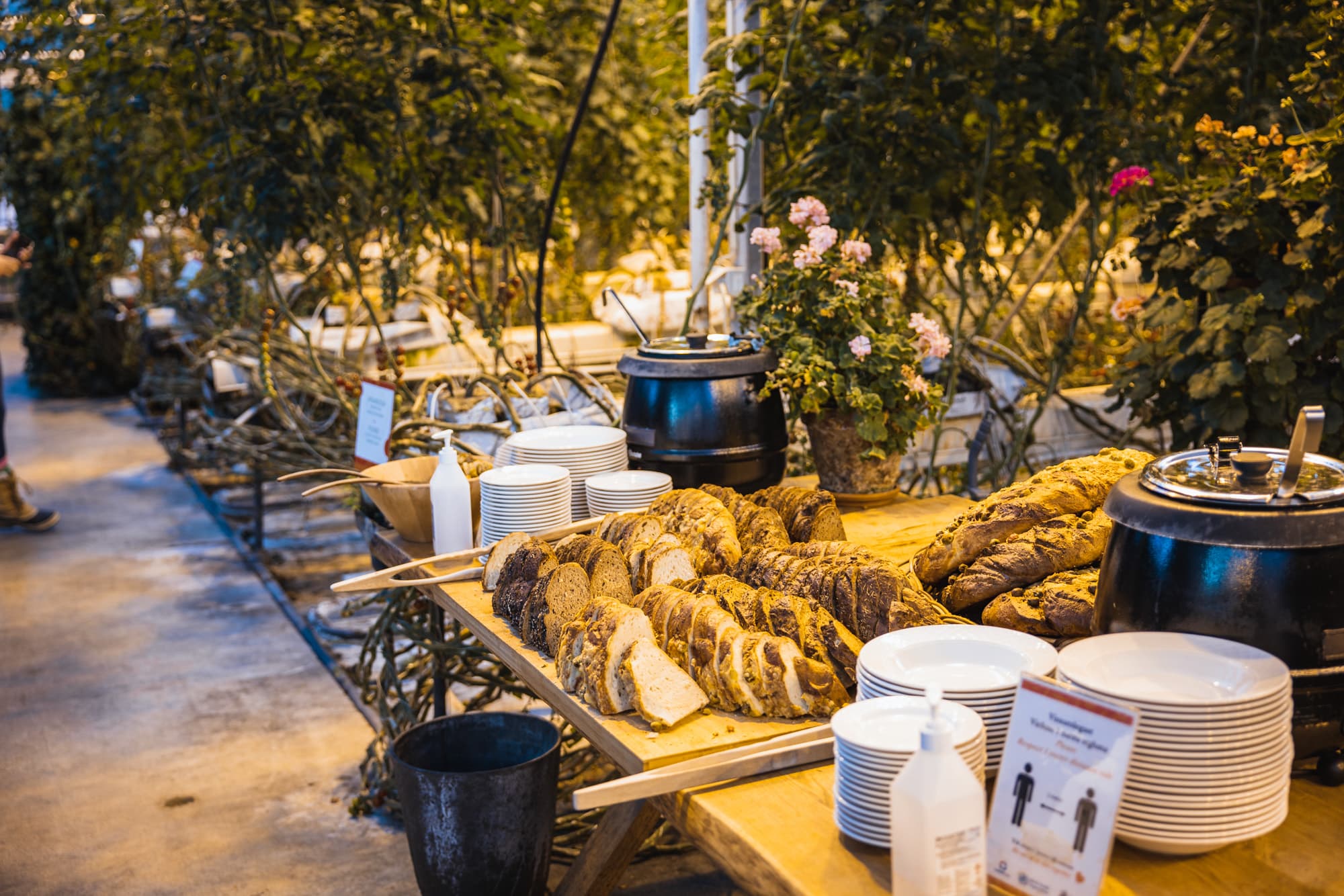 Private Family Golden Circle & Laugarás Spa Experience