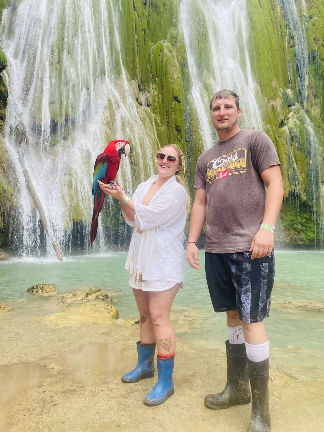 Excursión de avistamiento de ballenas y cascada de Limón Samaná