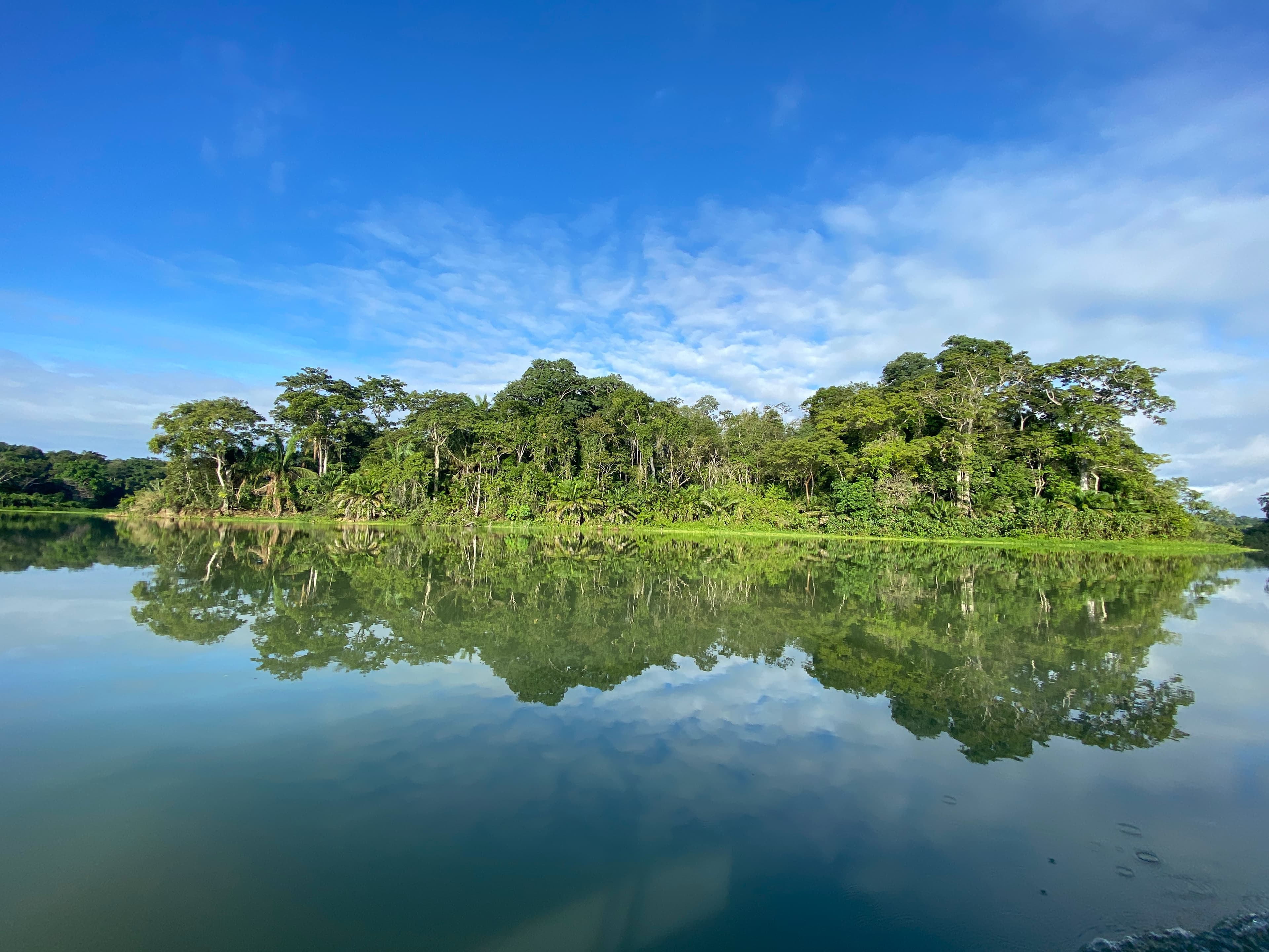 Gatun Lake Fishing Tour - Half Day