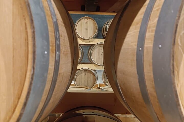 2 Day Ribera del Duero Private Wine Tour from Madrid