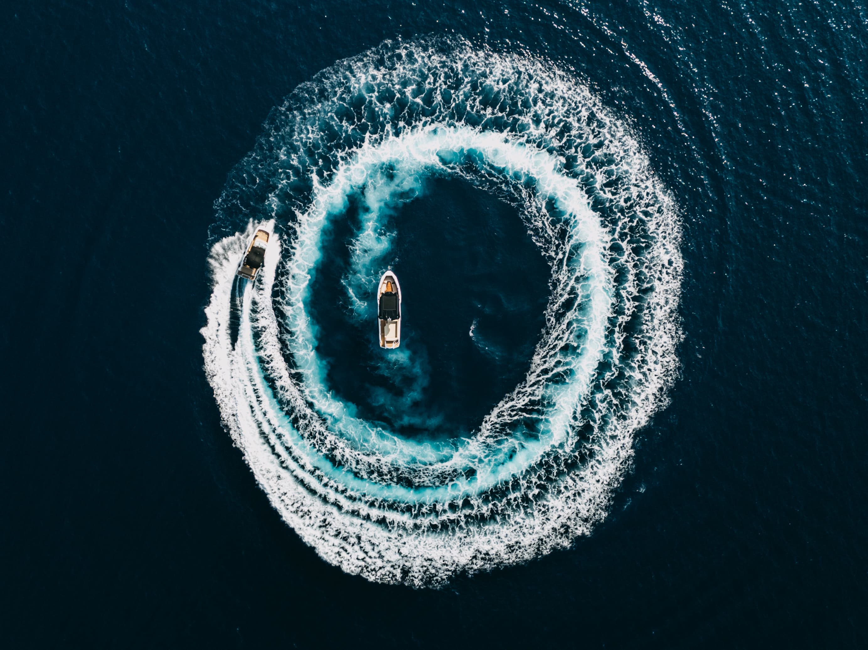 ❖ Alesta Raptor | Private