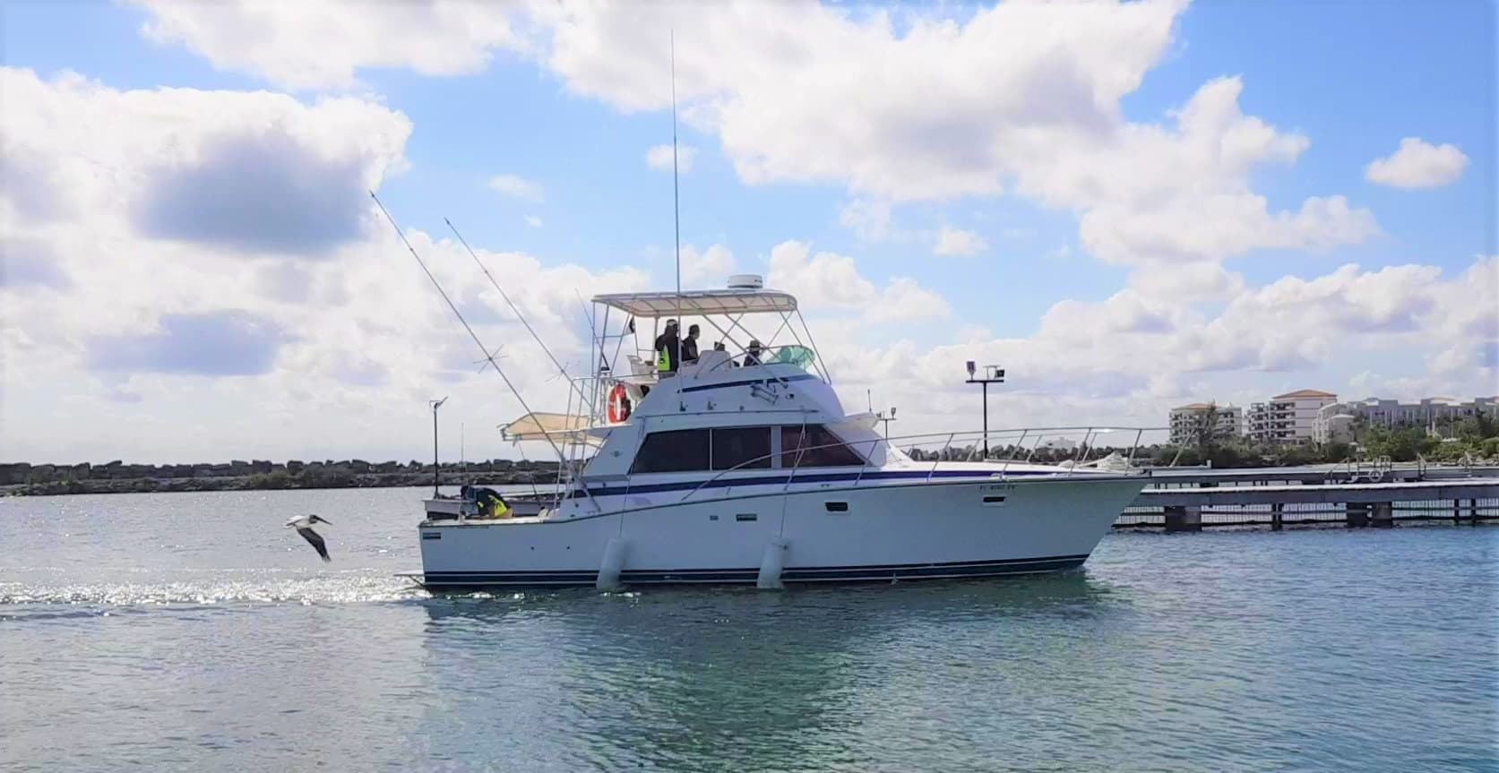 Sport Fishing Cancun & Riviera Maya 