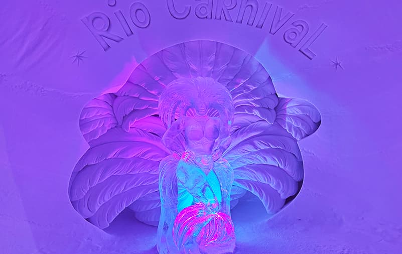 Visit to Lainio Snow village