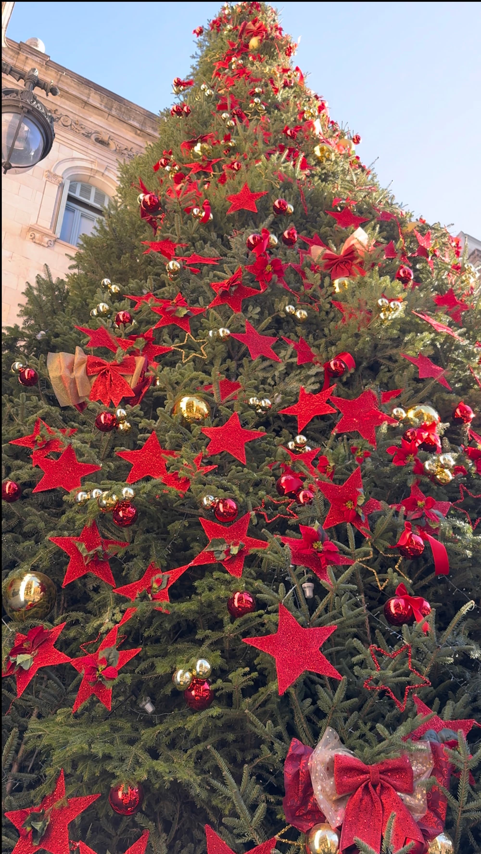 Christmas 2025: Lights and Markets Private Bike Tour