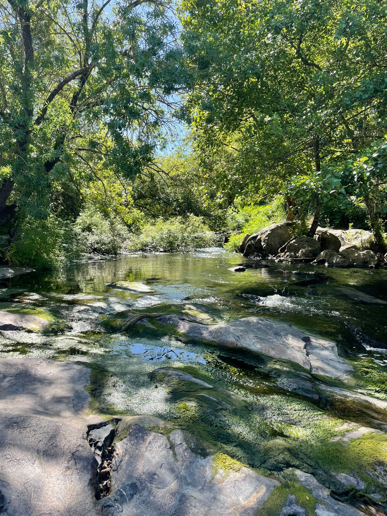  Montemor-o-Novo: Guided Hiking Tour with Lunch