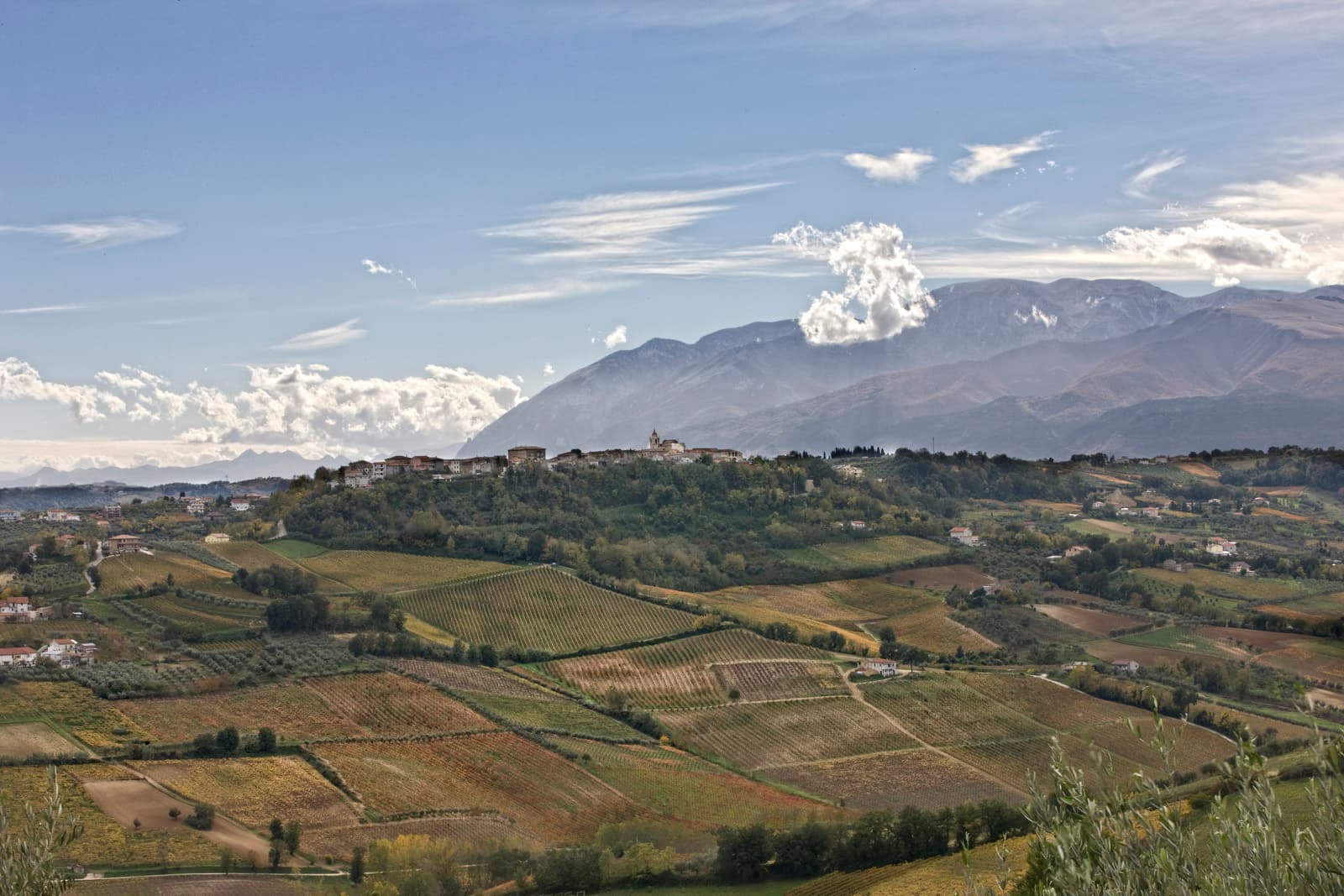 Villamagna DOC: Italy's Smallest Wine Treasure