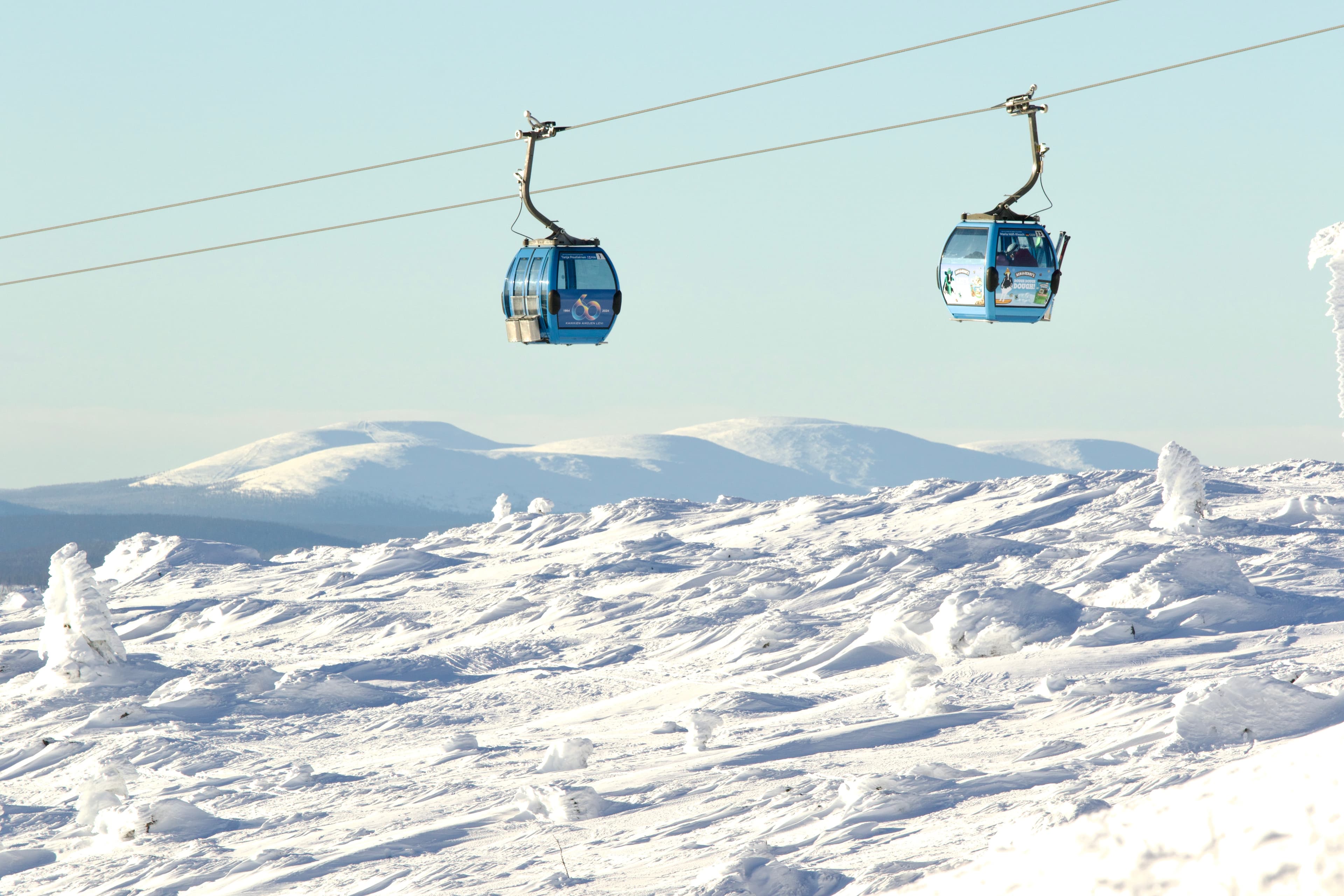 Levi Scenic Tour Reindeer Encounter and Snowshoe Adventure