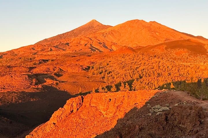 Volcanic Hike and Lava Cave in Teide National Park. Free Pickup.