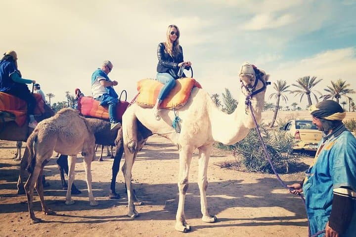 Camel Ride Experience Around Marrakech