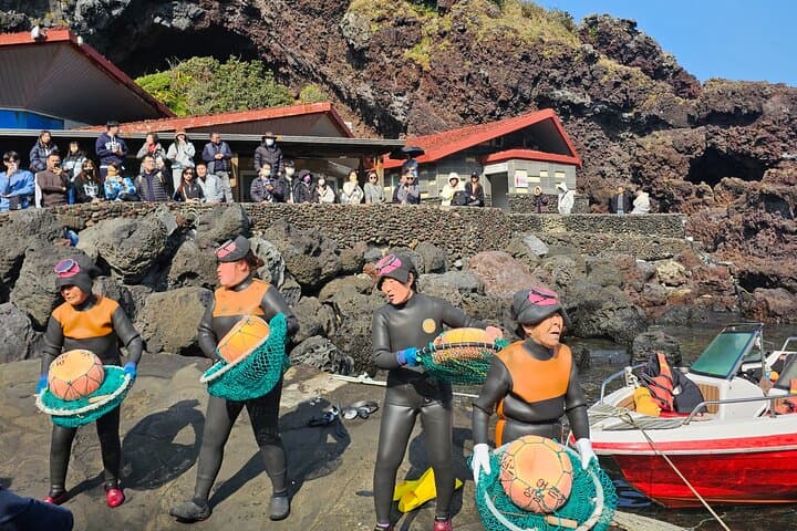 East of jeju tour for Seogwipo Gangjeong Cruise Customers