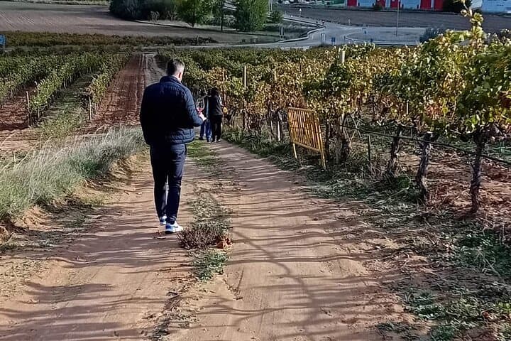 Ribera del Duero Tour: Two Wineries with Transport from Madrid