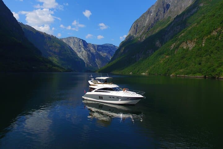 Private 2D Cruise from Bergen to Sognefjord, Flåm and Nærøyfjord