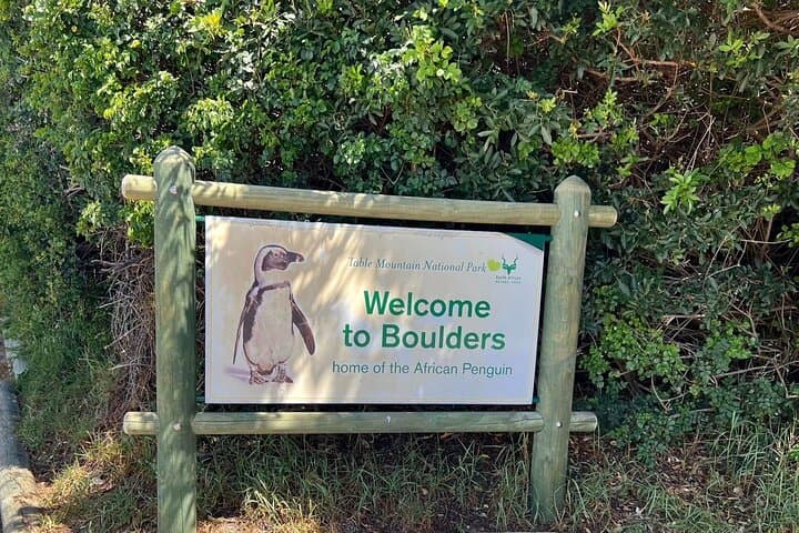 One Day Cape of Good and Penguin Colony Expedition from Cape Town