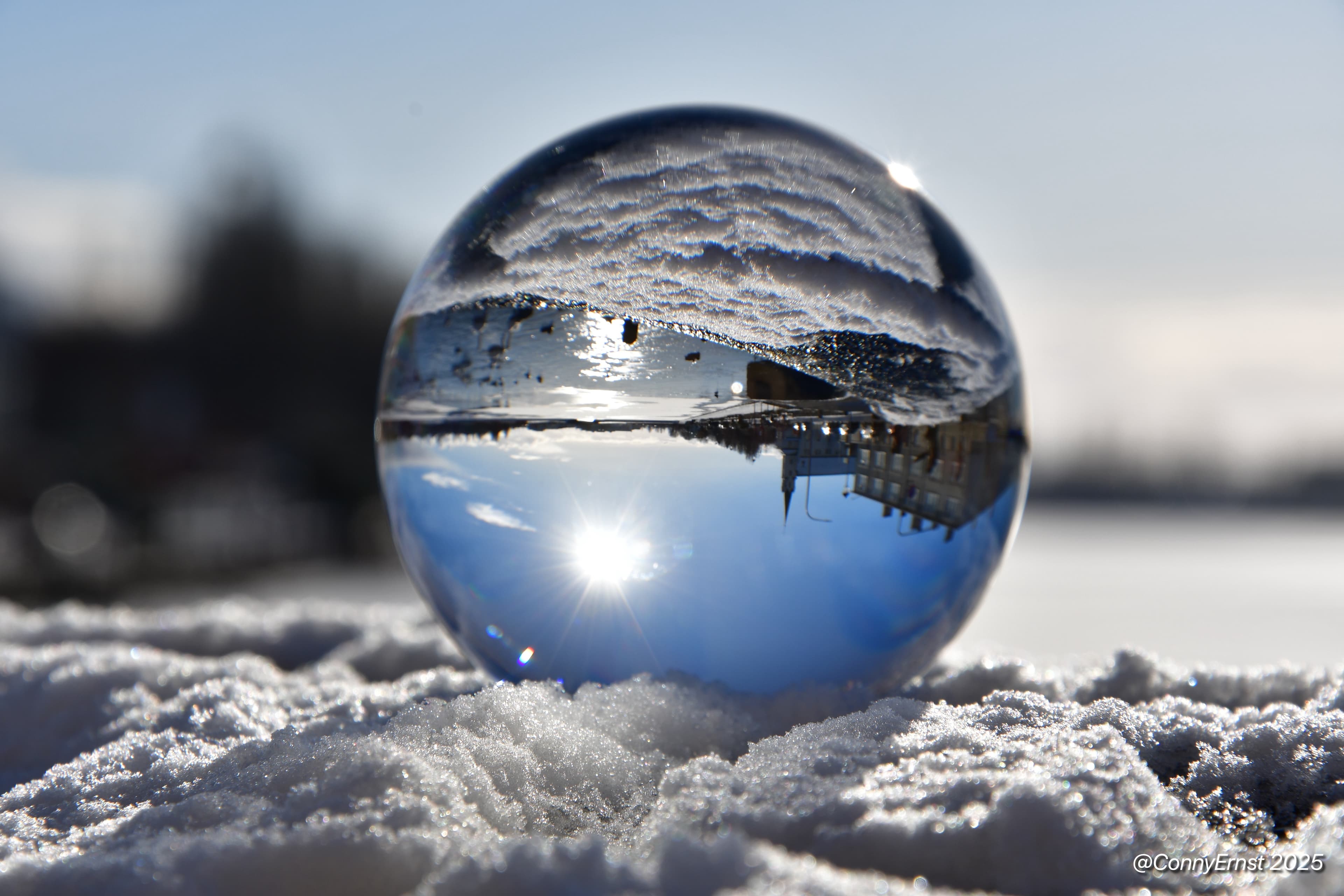 Reykjavik History and Sightseeing Experience