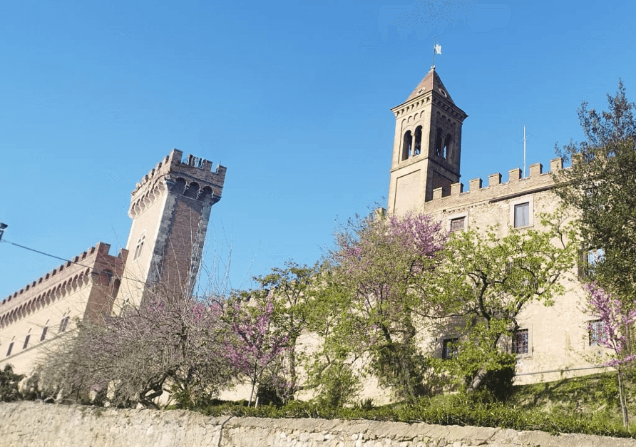 Private Minivan Tour from Florence to Bolgheri