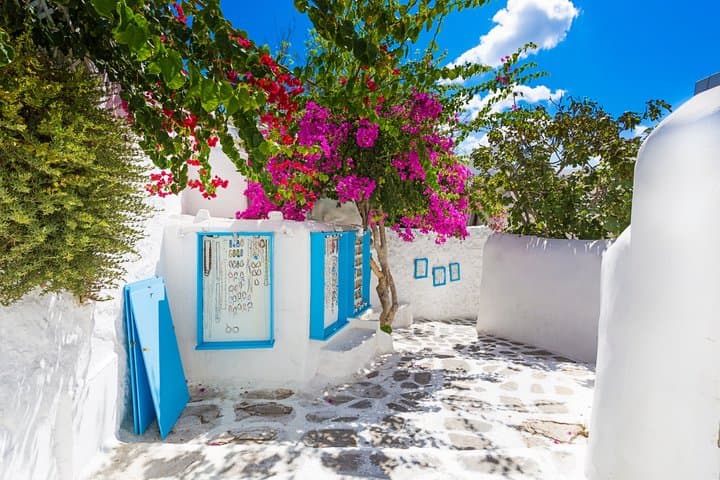 The Mykonos We Live - A Private Day Designed for You