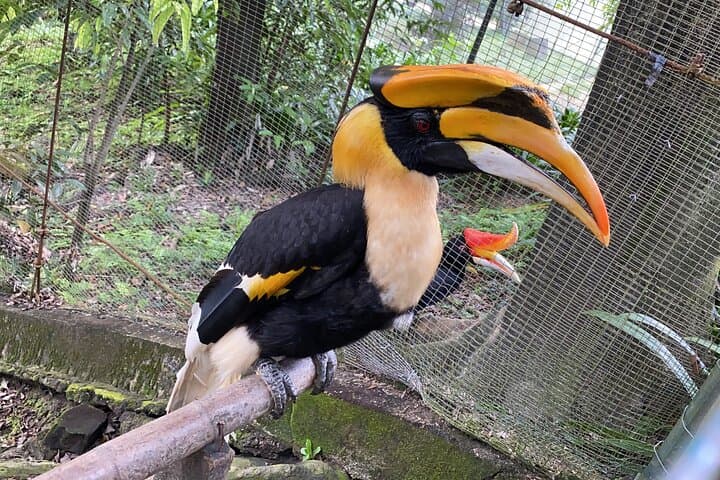 Garden & Park Half Day Tour (SIC Tour – Shared/Join In Tour)