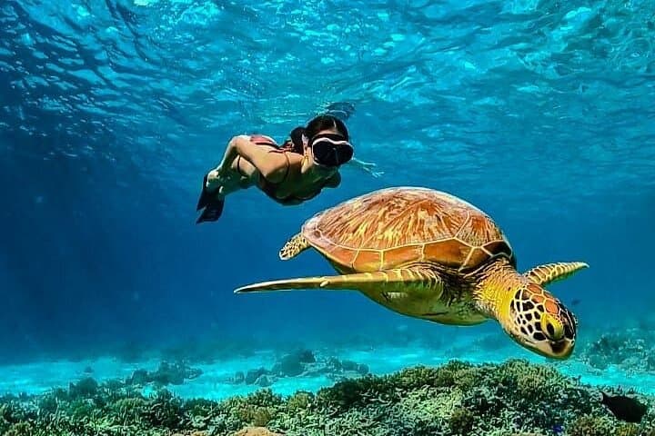 Private Snorkeling Gili Island (Coral, Statue and Turtle) 