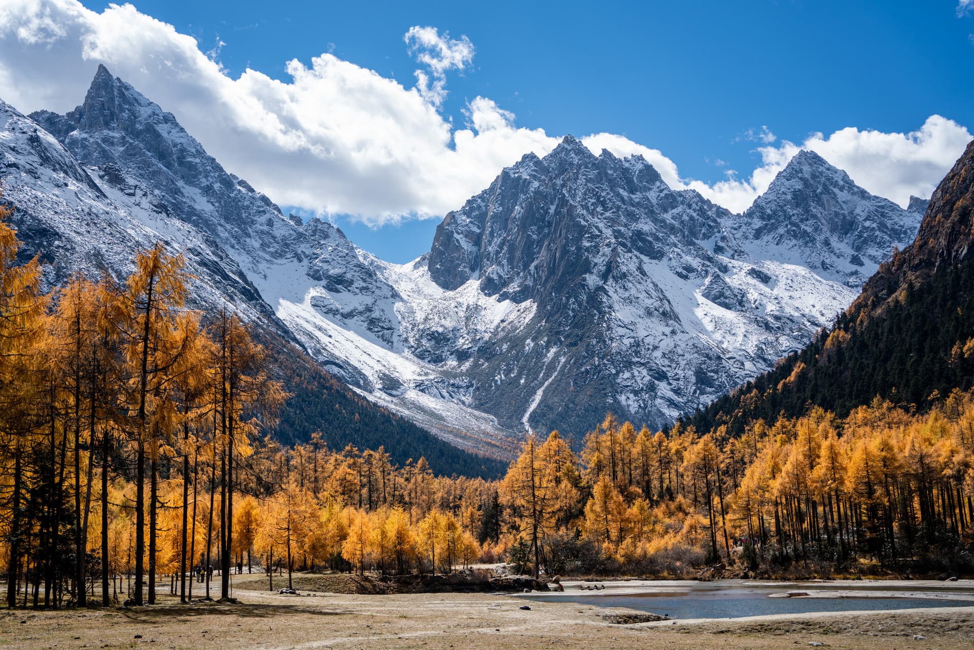 Three-Day Tour of Dujiangyan, Panda Valley, and Bipenggou 
