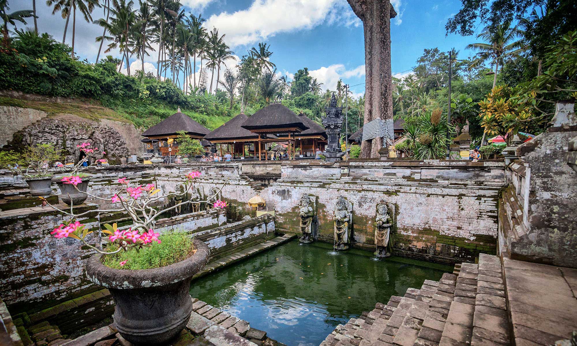 Private Bali Full day Tour Include Natural landscapes and Temples 