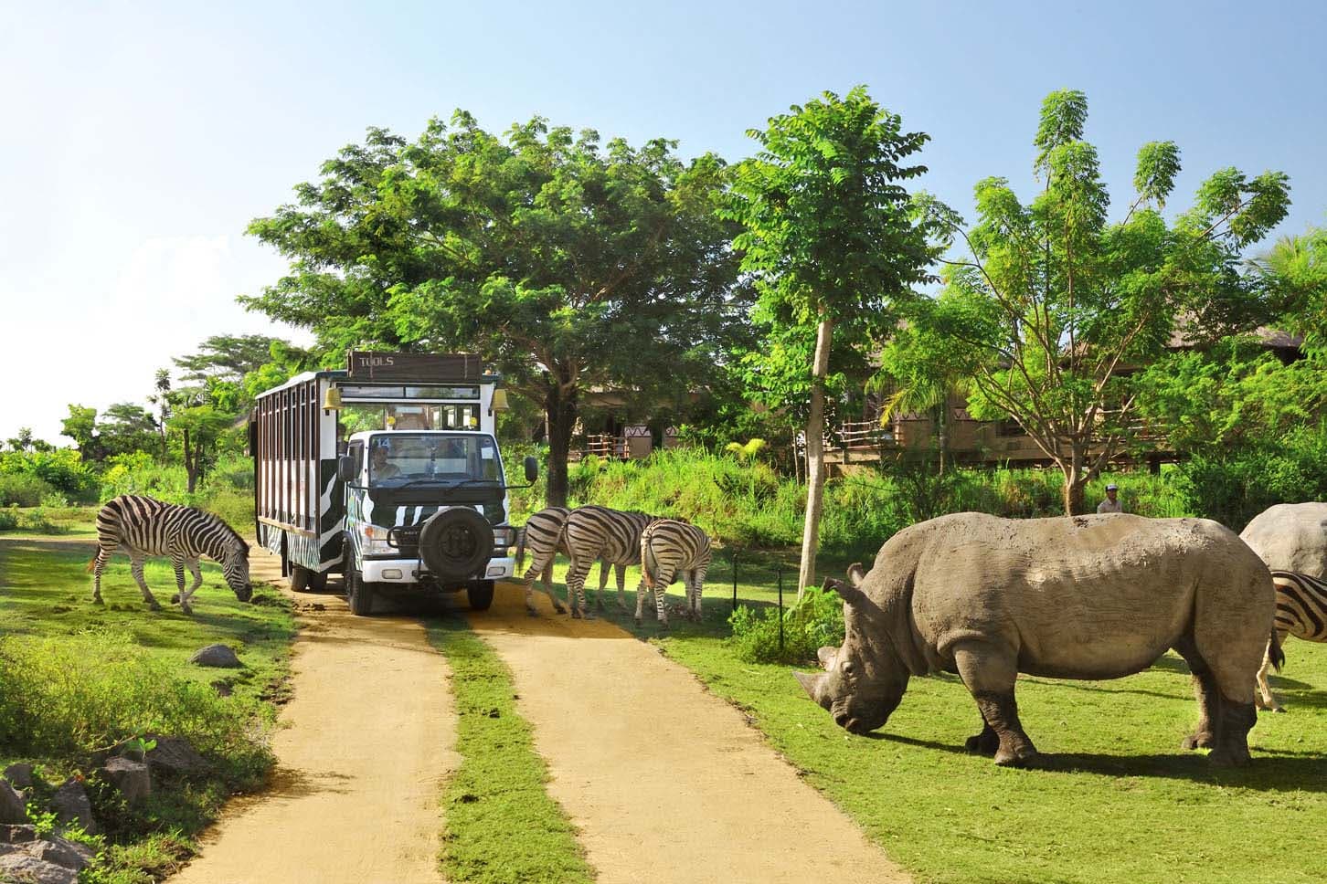 Private Tour: Ubud and bali Safari Marine Park