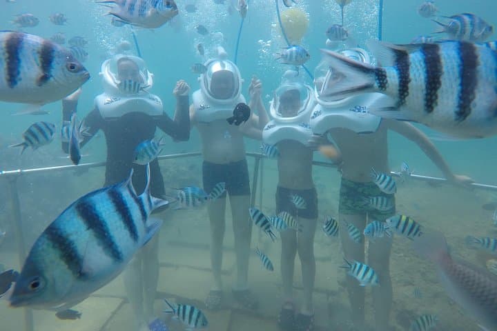 Full-day Cham Islands Cruise from Hoi An with Underwater Walking Excursion