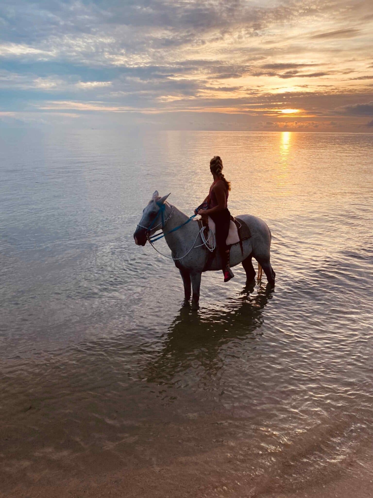 T3Eii-Belize beach horseback riding
