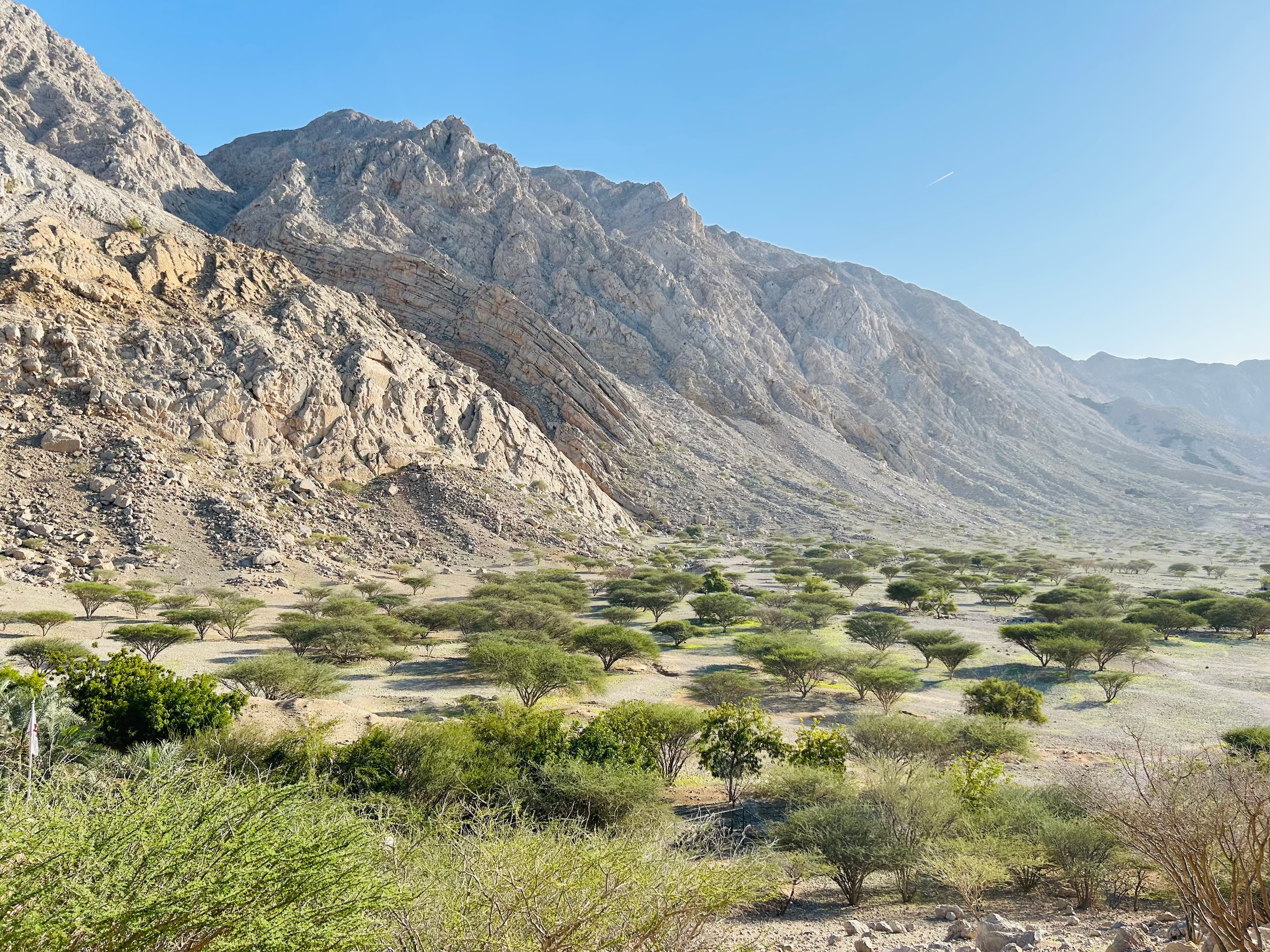 Ras Al Khaimah w Pigułce