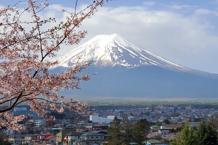 English Guided 2 Days Tokyo ,Mt Fuji and Hakone Private Tour