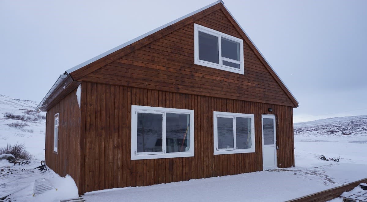 Northern lights, arctic fox combo