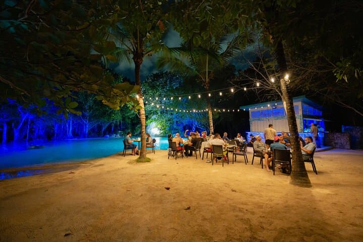 Punta Cana Night Tour Polaris Ride Dinner Music and Open Bar