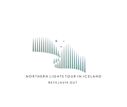 Northern Lights Tour In Iceland