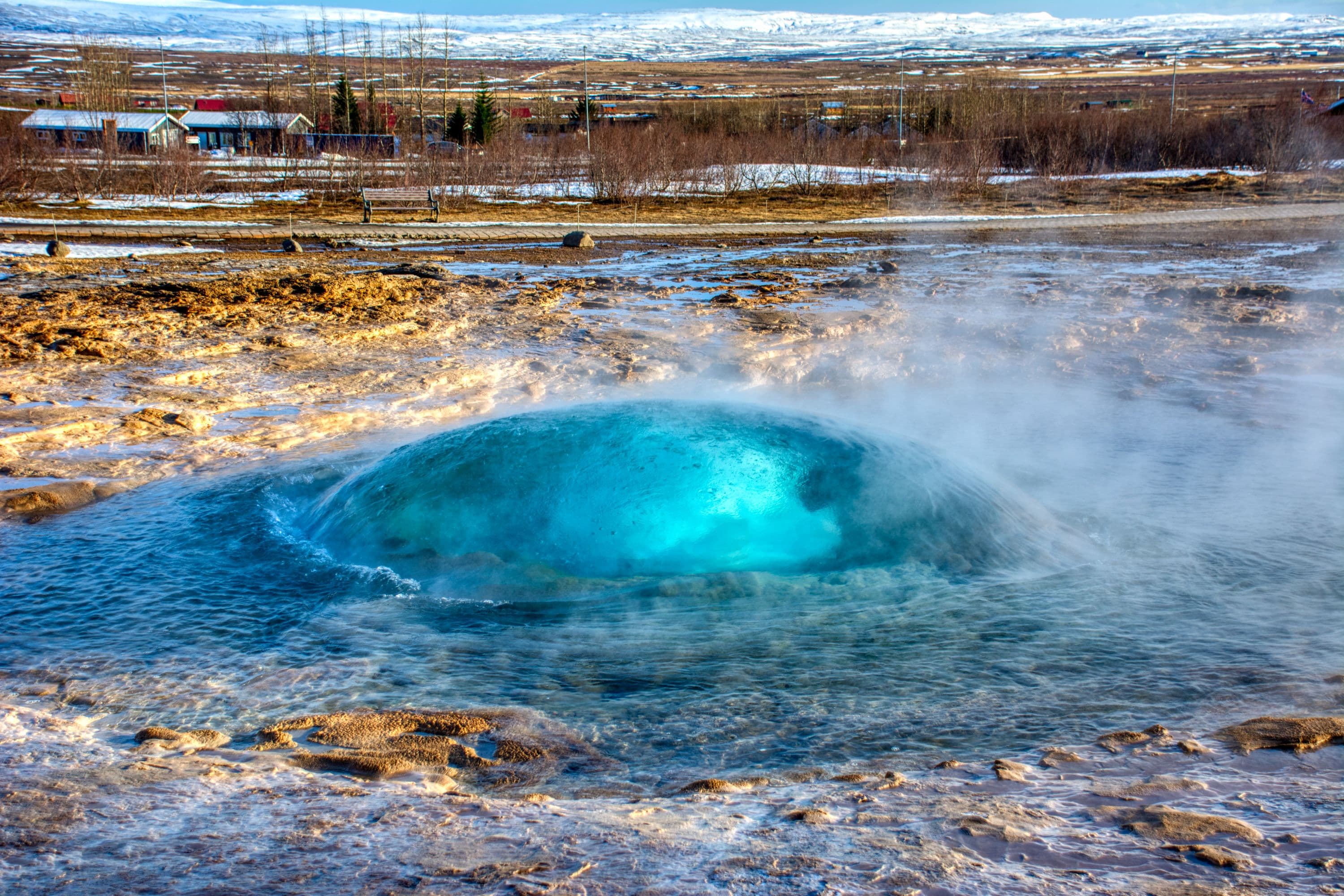 Golden Circle, Silfra Snorkeling & Fridheimar Tomato Farm - with photos