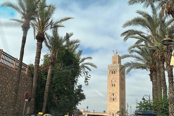 Day Trip From Casablanca to Marrakech